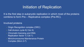 Initiation of Replication
It is the first step in eukaryotic replication in which most of the proteins
combine to form Pre – Replicative complex (Pre-RC).
Involved proteins
 Origin Recognition complex (ORC)
 Cell division cycle 6( Cdc 6)
 Chromatin licensing and DNA
Replication factor 1( Cdt 1)
 Minichromosome Maintenance Protein
Complex (Mcm 2-7)
 