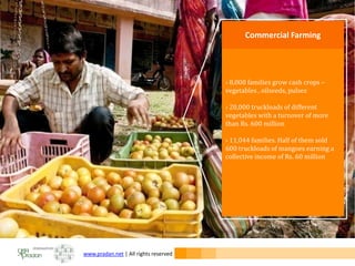 www.pradan.net | All rights reserved
› 8,000 families grow cash crops –
vegetables , oilseeds, pulses
› 20,000 truckloads of different
vegetables with a turnover of more
than Rs. 600 million
› 11,044 families. Half of them sold
600 truckloads of mangoes earning a
collective income of Rs. 60 million
Commercial Farming
 