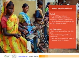 www.pradan.net | All rights reserved
TASAR
› Over 6,800 participants
› 195 decentralized grainages
processed 6.3 million seed cocoons
› Total commercial crop production
was 34.1 million cocoons
Lac Cultivation
› Over 1,100 farmers from over 250
SHGs
› Technical training provided to
participants
› 26.6 tons of Lac produced in FY 13
› Turnover of Rs. 13 million
Forest Based Livelihoods
 