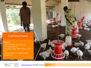 www.pradan.net | All rights reserved
Poultry
› 6,017 families participated
› 19 cooperatives
› Turnover of Rs. 1830 million in FY
13
› Margin of Rs 107 million to the
producers
Small Holder Poultry
 