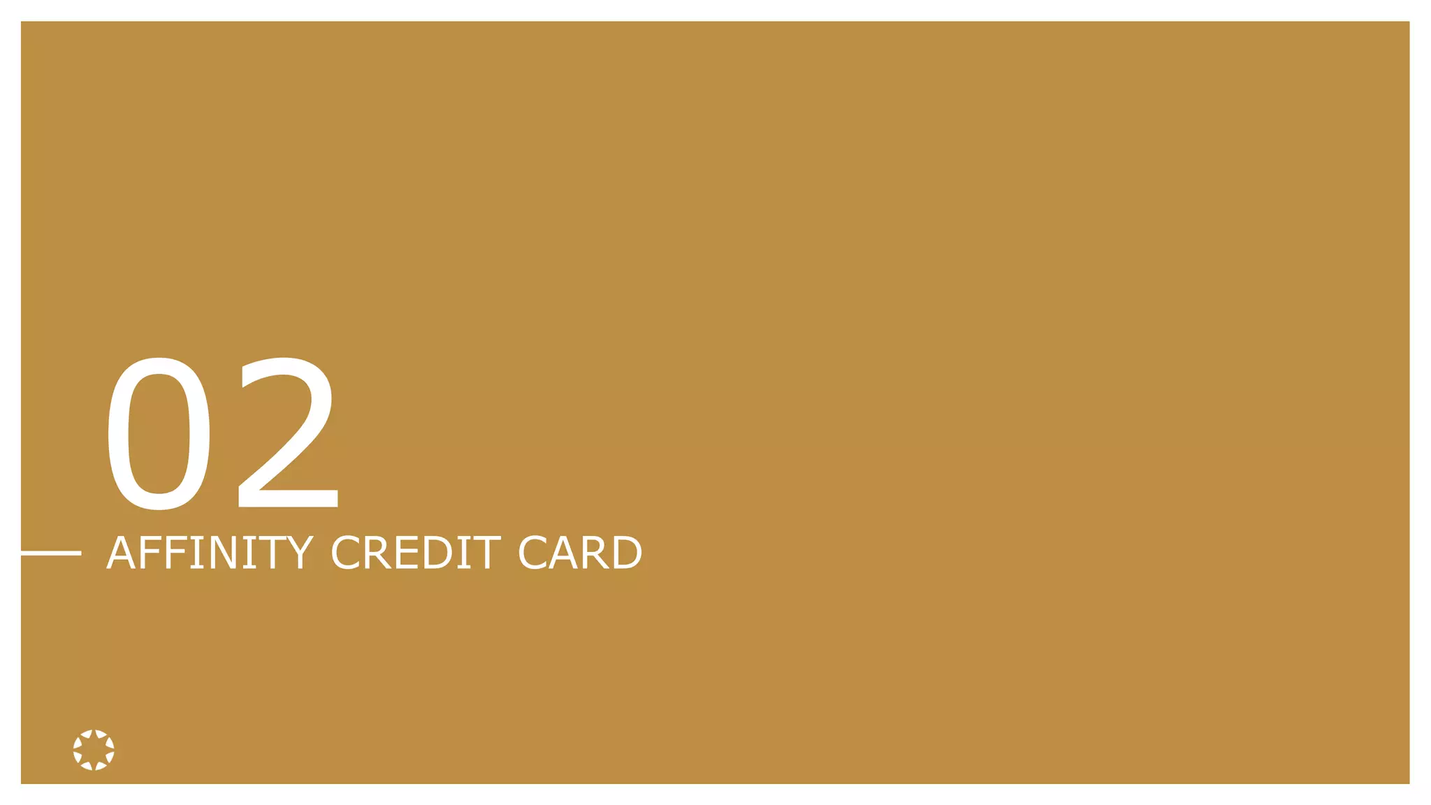 02AFFINITY CREDIT CARD
 