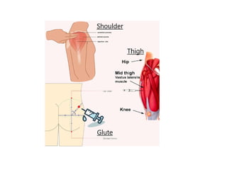 Comprehensive Guide to Injection Techniques and Needle Safety in ...