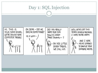 Injection flaw teaser