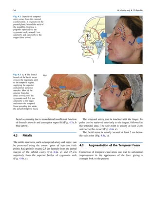 Injections in Aesthetic Medicine_ Atlas of Full-face and Full-body ...