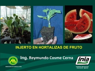 •
INJERTO EN HORTALIZAS DE FRUTO
•Instituto Nacional de
Innovación Agraria
•MINISTERIO DE AGRICULTURA
Ing. Reymundo Cosme Cerna
 