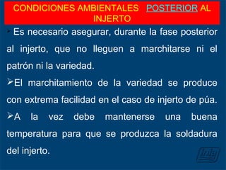  Es necesario asegurar, durante la fase posterior
al injerto, que no lleguen a marchitarse ni el
patrón ni la variedad.
El marchitamiento de la variedad se produce
con extrema facilidad en el caso de injerto de púa.
A la vez debe mantenerse una buena
temperatura para que se produzca la soldadura
del injerto.
CONDICIONES AMBIENTALES POSTERIOR AL
INJERTO
 