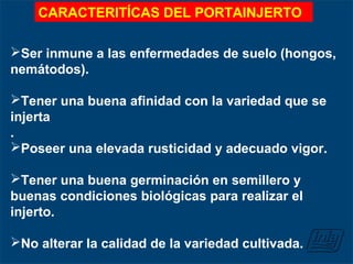 Ser inmune a las enfermedades de suelo (hongos,
nemátodos).
Tener una buena afinidad con la variedad que se
injerta
.
Poseer una elevada rusticidad y adecuado vigor.
Tener una buena germinación en semillero y
buenas condiciones biológicas para realizar el
injerto.
No alterar la calidad de la variedad cultivada.
CARACTERITÍCAS DEL PORTAINJERTO
 