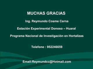 MUCHAS GRACIAS
Ing. Reymundo Cosme Cerna
Estación Experimental Donoso – Huaral
Programa Nacional de Investigación en Hortalizas
Telefono : 952246659
Email:Reymundcc@Hotmail.com
 