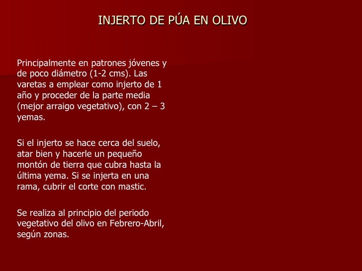 Manual de injerto de paltos english