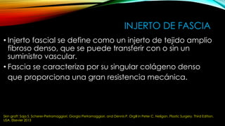 INJERTO DE FASCIA
• Injerto fascial se define como un injerto de tejido amplio
fibroso denso, que se puede transferir con o sin un
suministro vascular.
• Fascia se caracteriza por su singular colágeno denso
que proporciona una gran resistencia mecánica.
Skin graft: Saja S. Scherer-Pietramaggiori, Giorgio Pietramaggiori, and Dennis P. Orgill in Peter C. Neligan. Plastic Surgery. Third Edition.
USA. Elsevier 2013
 