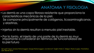 ANATOMIA Y FISIOLOGIA
• La dermis es una capa fibrosa resistente que proporciona la
características mecánicas de la piel.
Se compone principalmente de colágenos, licosaminoglicanos,
y elastinas.
• Injertos sin la dermis resultan a menudo piel inestable.
• Por lo tanto, el injerto de una parte de la dermis es muy
importante a considerar en términos de funcionalidad de
la piel futuro
Skin graft: Saja S. Scherer-Pietramaggiori, Giorgio Pietramaggiori, and Dennis P. Orgill in Peter C. Neligan. Plastic Surgery. Third Edition.
USA. Elsevier 2013
 
