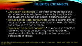 INJERTOS CUTANEOS
• Vascularizacion:
• Circulación plasmática: A partir del contacto del lecho
con el injerto, este empieza a tomar el líquido plasmático
que se absorbe por acción capilar del lecho receptor.
• Inoculación de vasos sanguíneos: Durante las primeras 48
horas se forman conductos vasculares en la red de fibrina
que una el injerto con su lecho.
• Formación de nuevos capilares: A la vez que se establece
flujo entre los vasos antiguos, hay neoformación de
capilares entre el lecho y el injerto, junto con una red
paralela de linfáticos.
Skin graft: Saja S. Scherer-Pietramaggiori, Giorgio Pietramaggiori, and Dennis P. Orgill in Peter C. Neligan. Plastic Surgery. Third Edition.
USA. Elsevier 2013
 