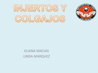 ELIANA MACIAS
LINDA MARQUEZ
 