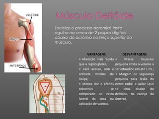 Localize o processo acromial, insira
agulha na cerca de 2 polpas digitais
abaixo do acrômio no terço superior do
músculo.
VANTAGENS
• Absorção mais rápida
que a região glútea;
• Fácil acesso, com a
retirada mínima de
roupa;
• Menos dor e efeitos
colaterais
se
comparado ao vasto
lateral da coxa na
aplicação de vacinas.

DESVANTAGENS
•
Massa
muscular
pequena limita o volume a
ser infundido em até 1 mL;
• Margem de segurança
pequena para lesão do
nervo radial e axilar (que
se situa abaixo do
deltóide, na cabeça do
úmero).

 