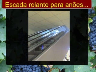 Escada rolante para anões... 