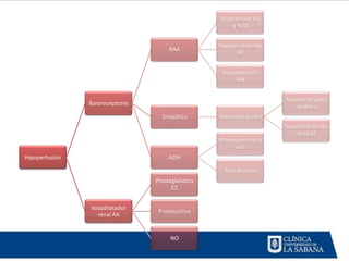 Reabsorción Na
                                                      y H2O


                                                  Vasoconstricción
                                      RAA
                                                        AE


                                                   Vasodilatación
                                                        AA


                                                                     Mejorar el gasto
                Baroreceptores
                                                                        cardiaco
                                   Simpático      Vasoconstricción
                                                                     Vasoconstricción
                                                                         de la AE
                                                  Mecanismo de la
                                                       sed
Hipoperfusión                         ADH

                                                    Anti diuresis
                                 Prostaglandina
                                       E2


                Vasodilatador
                                  Prostaciclina
                  renal AA


                                      NO
 