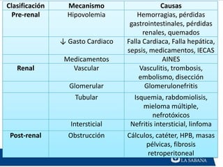 Clasificación     Mecanismo                    Causas
  Pre-renal       Hipovolemia          Hemorragias, pérdidas
                                    gastrointestinales, pérdidas
                                         renales, quemados
                ↓ Gasto Cardiaco   Falla Cardiaca, Falla hepática,
                                   sepsis, medicamentos, IECAS
                 Medicamentos                   AINES
   Renal           Vascular             Vasculitis, trombosis,
                                       embolismo, disección
                  Glomerular              Glomerulonefritis
                    Tubular          Isquemia, rabdomiolisis,
                                        mieloma múltiple,
                                            nefrotóxicos
                   Intersticial     Nefritis intersticial, linfoma
 Post-renal       Obstrucción      Cálculos, catéter, HPB, masas
                                         pélvicas, fibrosis
                                          retroperitoneal
 
