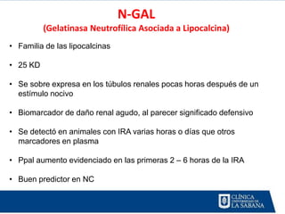 N-GAL
          (Gelatinasa Neutrofílica Asociada a Lipocalcina)
• Familia de las lipocalcinas

• 25 KD

• Se sobre expresa en los túbulos renales pocas horas después de un
  estímulo nocivo

• Biomarcador de daño renal agudo, al parecer significado defensivo

• Se detectó en animales con IRA varias horas o días que otros
  marcadores en plasma

• Ppal aumento evidenciado en las primeras 2 – 6 horas de la IRA

• Buen predictor en NC
 