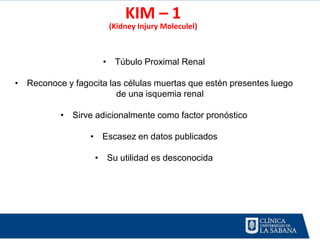 KIM – 1
                      (Kidney Injury Moleculel)



                     • Túbulo Proximal Renal

• Reconoce y fagocita las células muertas que estén presentes luego
                        de una isquemia renal

          • Sirve adicionalmente como factor pronóstico

                  • Escasez en datos publicados

                   • Su utilidad es desconocida
 