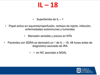 IL – 18
                      • Superfamilia de IL – 1

• Papel activo en isquemia/reperfusión, rechazo de injerto, infección,
               enfermedades autoinmunes y tumorales

               • Marcador sensible y precoz en NTA

• Pacientes con SDRA se demostró un ↑ de IL – 18, 48 horas antes de
                   diagnóstico asociado de IRA

                   • ↑ en NC asociado a NGAL
 