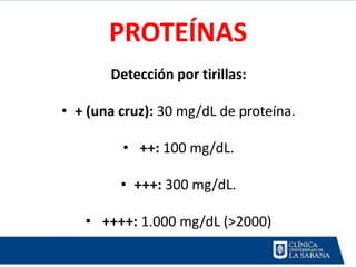 PROTEÍNAS
       Detección por tirillas:

• + (una cruz): 30 mg/dL de proteína.

         • ++: 100 mg/dL.

         • +++: 300 mg/dL.

   • ++++: 1.000 mg/dL (>2000)
 