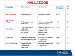 HALLAZGOS
Condición       Tira Reactiva           Sedimento                 Osmolalida   FE
                                                                  d Urinaria   Na


IRA PRERENAL    No proteinuria          Cilindros hialinos        > 500        <1


IRA RENAL
Tubular         Proteinuria leve o      Cilindros pigmentados     <350         >1
                moderada                granulosos (80%)

                Proteinuria leve o      Cilindros leucocitarios   <350         >1
Intersticial    moderada,               eritrocíticos y
                hemoglobina,            eosinofílicos,
                leucocitos              eosinófilos y
                                        hematíes.

Glomerular      Proteinuria moderada    Cilindros eritrocíticos   >500         <1
                a severa, hemoglobina   y eritrocitos
                                        dimórficos
IRA POSTRENAL   No proteinuria,         Cristales, eritrocitos    <350         >1
                hemoglobina y           y leucocitos
                leucocitos
 