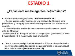 ESTADIO 1
     ¿El paciente recibe agentes nefrotóxicos?

• Evitar uso de aminoglucósidos. (Recomendación 2B)
  -- De ser usados, administrarlos en una dosis al día (5 mg/kg para
gentamicina y 15 mg/kg para amikacina en pacientes con función renal
normal).
  -- Monitorizar los niveles del medicamento cuando vaya ser usado
más de 24 horas.
 (niveles pico 8 +/- 2 mcg/ml y valle 1-2 mcg/ml para gentamicina y 20 +/-
5 mcg/ml pico y 5-8 mcg/ml valle para amikacina).


• Usar la preparación lipídica de Anfotericina B ó usar otro anti-micótico
  efectivo en lo posible, tipo azoles o equinocandinas si se asume igual
  eficacia terapeútica (Recomendación 2A)
 