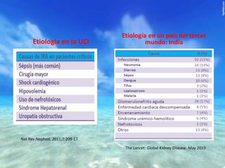 Etiología en la UCI

Etiología en un país del tercer
mundo: India

Nat Rev Nephrol. 2011;7:209-17
The Lancet: Global Kidney Disease. May 2013

 