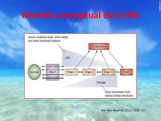 Modelo conceptual de la IRA

Nat. Rev. Nephrol. 2011;7:209 - 17

 