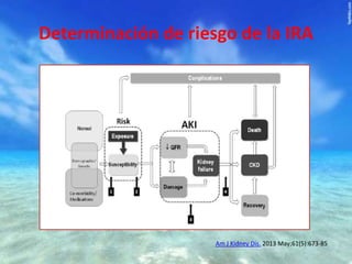Determinación de riesgo de la IRA

Am J Kidney Dis. 2013 May;61(5):673-85

 