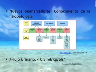 • Nuevos biomarcadores: Conocimiento de la
fisiopatología

Am J Kidney Dis. 2011 ;57(5):930- 40

• ¿Flujo Urinario: < 0.3 ml/Kg/6h?
Crit. Care 17, R112 (2013).

 