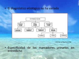 • El diagnóstico etiológico no ha variado

J Am Soc of Nephrol 1998

• Especificidad de los marcadores urinarios en
entredicho

 