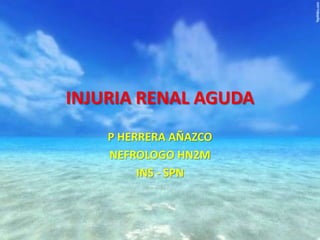 INJURIA RENAL AGUDA
P HERRERA AÑAZCO
NEFROLOGO HN2M
INS - SPN

 