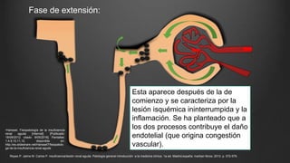 Fase de extensión:
Esta aparece después de la de
comienzo y se caracteriza por la
lesión isquémica ininterrumpida y la
inflamación. Se ha planteado que a
los dos procesos contribuye el daño
endotelial (que origina congestión
vascular).
•Hanssel. Fisiopatología de la insuficiencia
renal aguda [internet]. [Publicado:
18/09/2012. citado: 9/05/2016]. Pantallas:
1,4,9,10,11,12. disponible en:
http://es.slideshare.net/Hanssel7/fisiopatolo
ga-de-la-insuficiencia-renal-aguda
Reyes P. Jaime M. Carlos P. insuficiencia/lesión renal aguda. Patología general introducción a la medicina clínica. 1a ed. Madrid,españa: marban libros; 2013. p. 572-579.
 