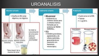 UROANALISIS
 