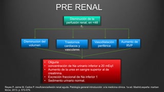 Disminución de la
perfusión renal, en <48
h.
Disminucion del
volumen
Trastornos
cardiacos y
vasculares
Vasodilatación
periférica
Aumento de
RVP
• Oliguria
• concentración de Na urinario inferior a 20 mEq/l
• Aumento de la urea en sangre superior al de
creatinina.
• Excreción fraccional de Na inferior 1
• Sedimento urinario normal.
PRE RENAL
Reyes P. Jaime M. Carlos P. insuficiencia/lesión renal aguda. Patología general introducción a la medicina clínica. 1a ed. Madrid,españa: marban
libros; 2013. p. 572-579.
 