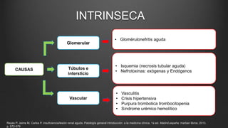 INTRINSECA
CAUSAS
Glomerular
Túbulos e
intersticio
Vascular
• Glomérulonefritis aguda
• Isquemia (necrosis tubular aguda)
• Nefrotoxinas: exógenas y Endógenos
• Vasculitis
• Crisis hipertensiva
• Purpura trombotica trombocitopenia
• Síndrome urémico hemolítico
Reyes P. Jaime M. Carlos P. insuficiencia/lesión renal aguda. Patología general introducción a la medicina clínica. 1a ed. Madrid,españa: marban libros; 2013.
p. 572-579
 