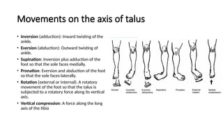 common INJURIES occuring around the ANKLE JOINT | PPTX