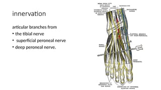 common INJURIES occuring around the ANKLE JOINT | PPTX