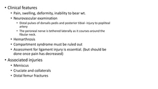 • Clinical features
• Pain, swelling, deformity, inability to bear wt.
• Neurovascular examination
• Distal pulses of dorsalis pedis and posterior tibial- injury to popliteal
artery
• The peroneal nerve is tethered laterally as it courses around the
fibular neck.
• Hemarthrosis
• Compartment syndrome must be ruled out
• Assessment for ligament injury is essential. (but should be
done once pain has decreased)
• Associated injuries
• Meniscus
• Cruciate and collaterals
• Distal femur fractures
 