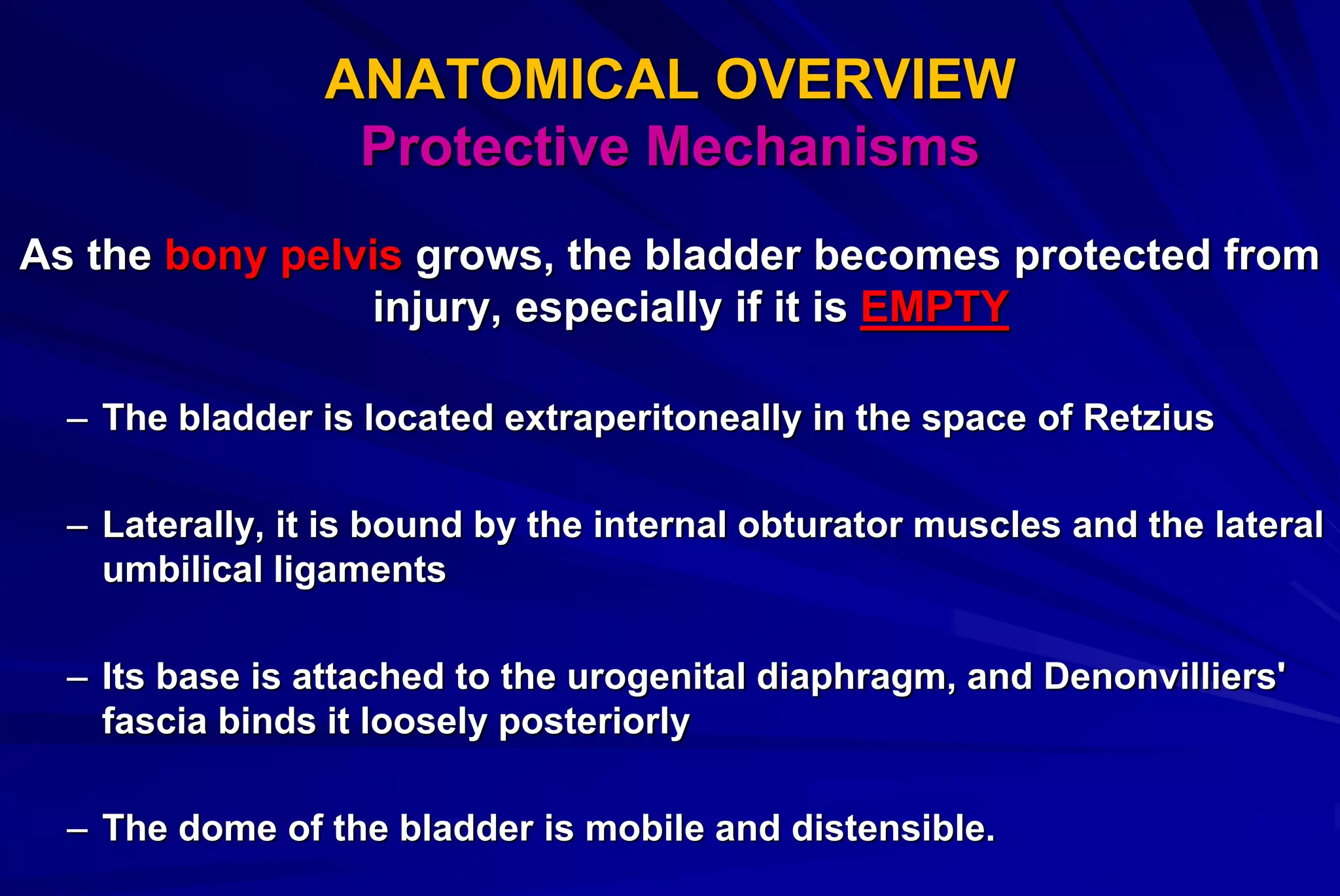 Urinary Bladder Injuries by Sayed Eleweedy | PPT