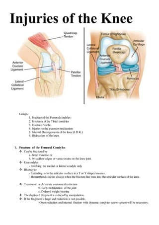 Injuries of the Knee
Groups;
1. Fracture of the Femoral condyles
2. Fractures of the Tibial condyles
3. Fracture Patella
4. Injuries to the extensor mechanism
5. Internal Derangements of the knee (I.D.K.)
6. Dislocation of the knee
1. Fracture of the Femoral Condyles
 Can be fractured by
a. direct violence or
b. by sudden vulgus or varus strains on the knee joint.
 Unicondylar
- Involving the medial or lateral condyle only
 Bicondylar
- Extending in to the articular surface in a T or Y shaped manner.
- Hemarthrosis occurs always when the fracture line runs into the articular surface of the knee.
 Treatment: a. Accurate anatomical reduction
b. Early mobilization of the joint
c. Delayed weight bearing
 The displaced fragment is reduced by manipulation.
 If the fragment is large and reduction is not possible,
-Open reduction and internal fixation with dynamic condylar screw system will be necessary.
 