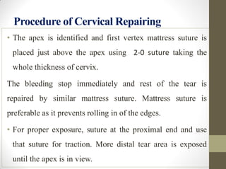 Procedure of Cervical Repairing
• The apex is identified and first vertex mattress suture is
placed just above the apex using 2-0 suture taking the
whole thickness of cervix.
The bleeding stop immediately and rest of the tear is
repaired by similar mattress suture. Mattress suture is
preferable as it prevents rolling in of the edges.
• For proper exposure, suture at the proximal end and use
that suture for traction. More distal tear area is exposed
until the apex is in view.
 