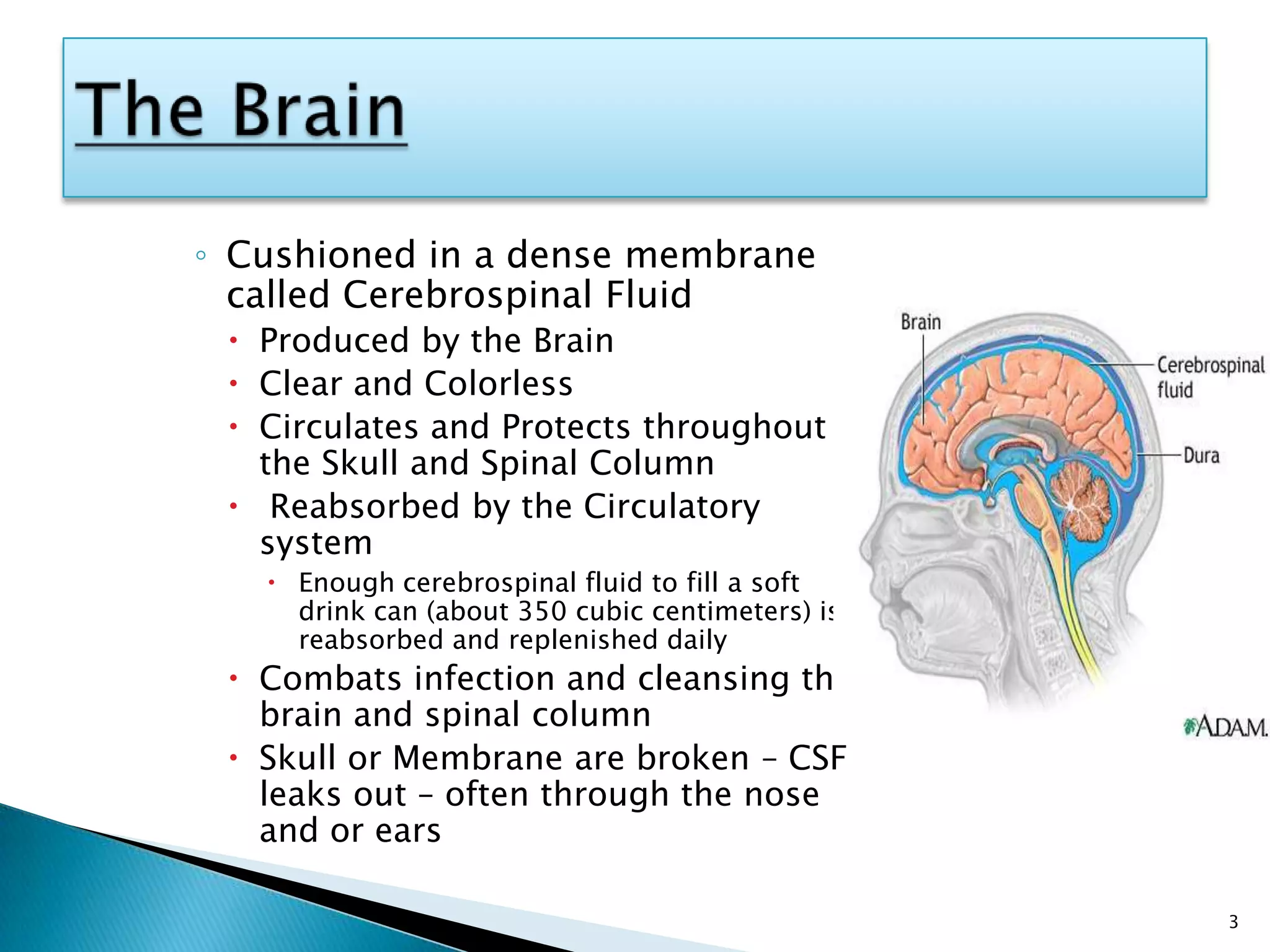Injuries to the head and brain | PPTX
