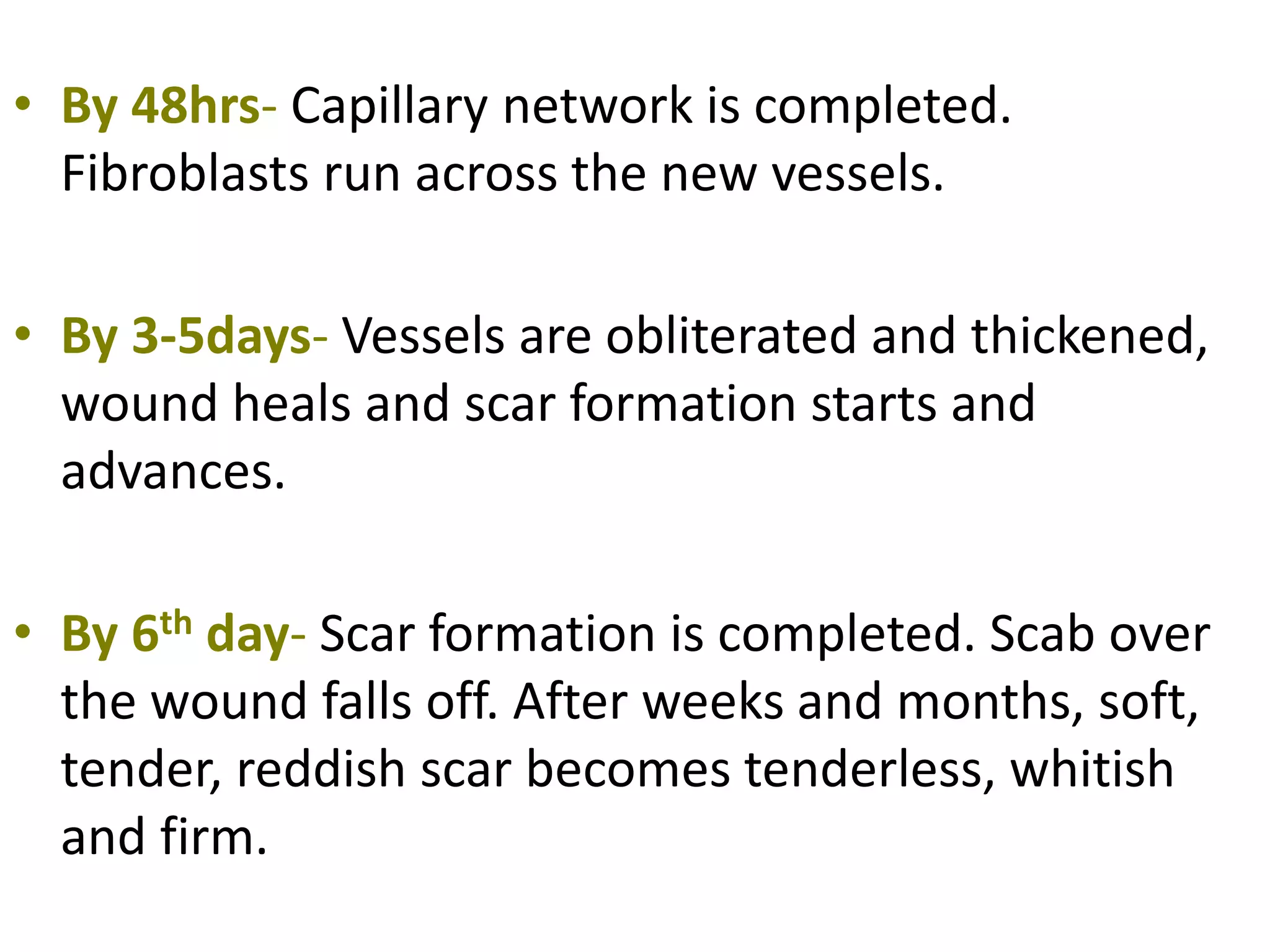 • By 48hrs- Capillary network is completed.
Fibroblasts run across the new vessels.
• By 3-5days- Vessels are obliterated and thickened,
wound heals and scar formation starts and
advances.
• By 6th day- Scar formation is completed. Scab over
the wound falls off. After weeks and months, soft,
tender, reddish scar becomes tenderless, whitish
and firm.
 