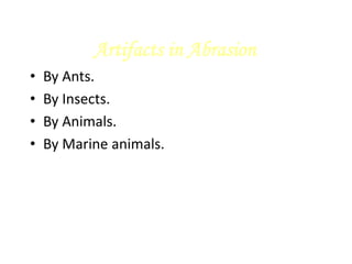 Artifacts in Abrasion
• By Ants.
• By Insects.
• By Animals.
• By Marine animals.
 