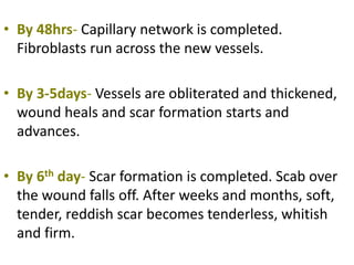 • By 48hrs- Capillary network is completed.
Fibroblasts run across the new vessels.
• By 3-5days- Vessels are obliterated and thickened,
wound heals and scar formation starts and
advances.
• By 6th day- Scar formation is completed. Scab over
the wound falls off. After weeks and months, soft,
tender, reddish scar becomes tenderless, whitish
and firm.
 