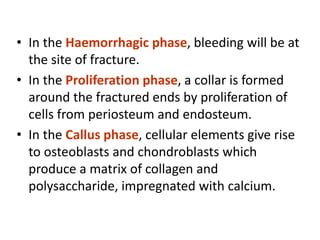 • In the Haemorrhagic phase, bleeding will be at
the site of fracture.
• In the Proliferation phase, a collar is formed
around the fractured ends by proliferation of
cells from periosteum and endosteum.
• In the Callus phase, cellular elements give rise
to osteoblasts and chondroblasts which
produce a matrix of collagen and
polysaccharide, impregnated with calcium.
 