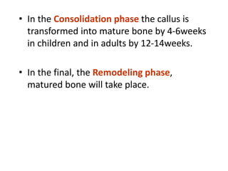 • In the Consolidation phase the callus is
transformed into mature bone by 4-6weeks
in children and in adults by 12-14weeks.
• In the final, the Remodeling phase,
matured bone will take place.
 
