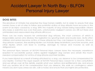 Spinal Injury Lawyer